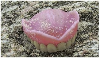 Die Dritten Zähne