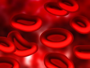 Blutkörperchen stark vergrößert