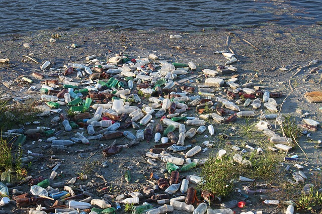 Wasser, Müll, Plastikflaschen