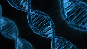 DNA-Strang des Menschen