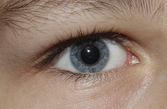 Auge, Pupille, Iris